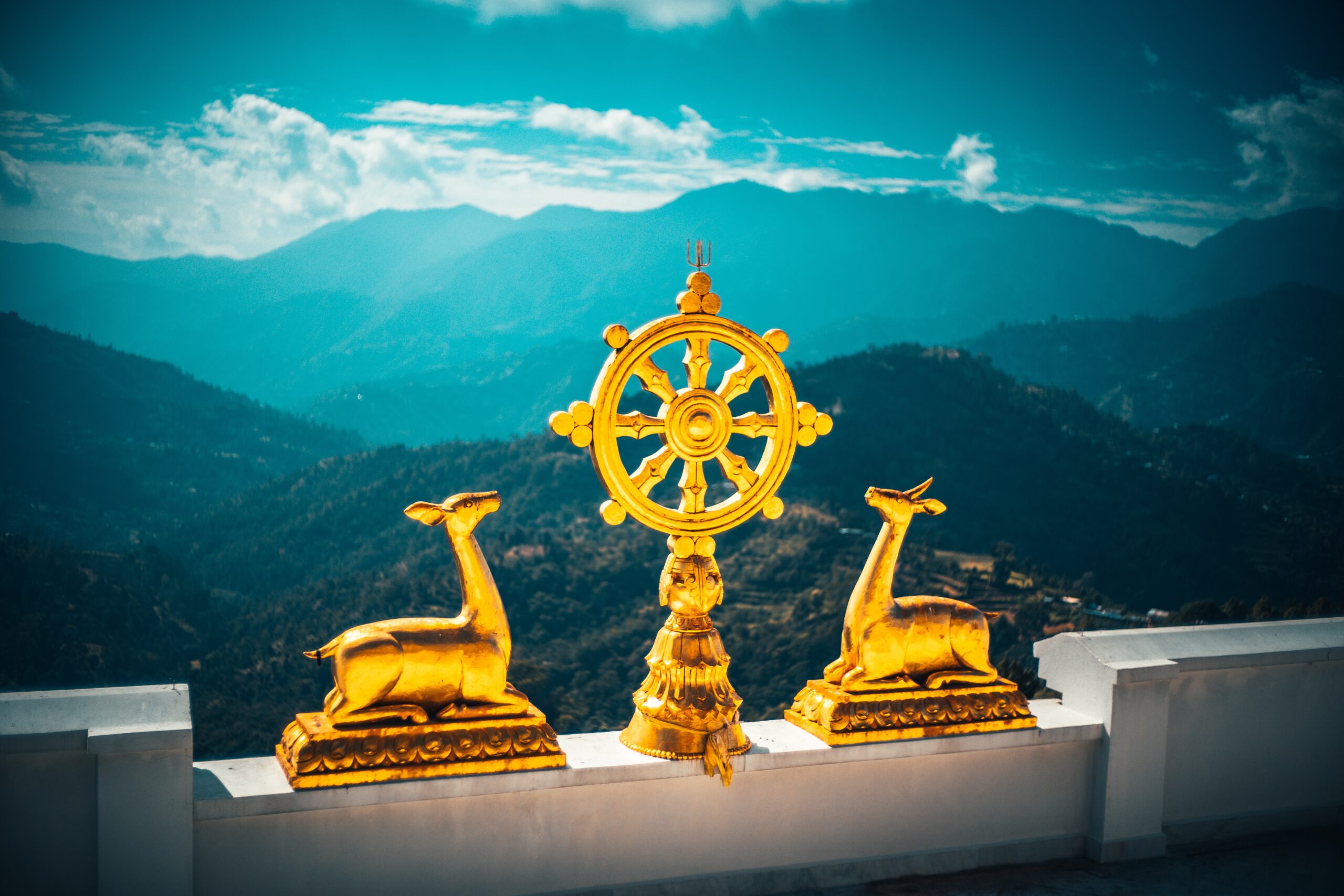 Embracing Buddha’s Teachings: Wisdom for Everyday Life